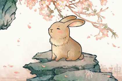 1987年属兔二婚会怎么样 1987年属兔人二婚注意什么