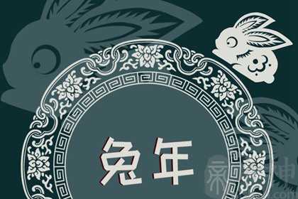 2023属兔为什么是黑兔年 要注意什么