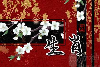 12生肖分别适合佩戴什么玉 属兔适合和田玉