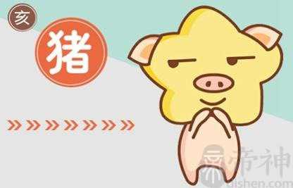 近七天生肖猪周运势2023（2.13-2.19）