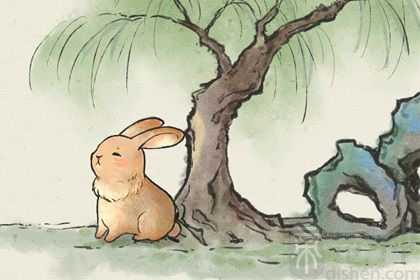 2023年属兔人流年运势怎么样 属兔人2023年如何规避风险