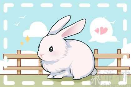 2023年属兔三大喜事 事业提升财运稳定且感情顺利