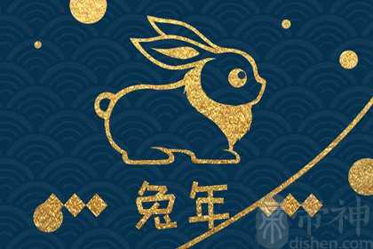 黑兔年和青龙年是不是不好 黑兔进入青龙代表什么意思