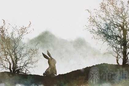 87年属兔的婚姻如何 属兔人婚姻比较单薄事业易受到挫折