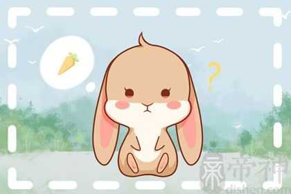 2023年谁是兔的贵人 带来不少帮助解决不少麻烦