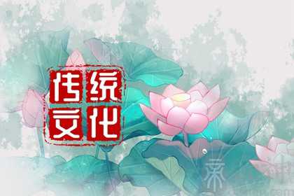 2024年为什么是寡妇年 龙年的注意事项