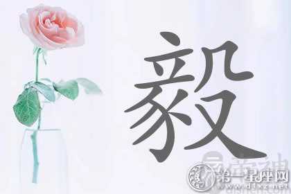 都是老将？带毅字明星名字分析