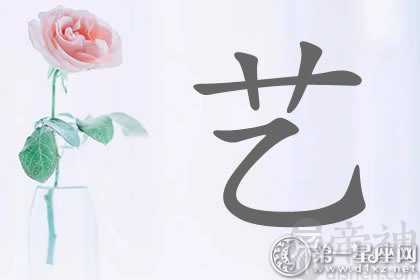 体现内涵的带艺字明星名字分析