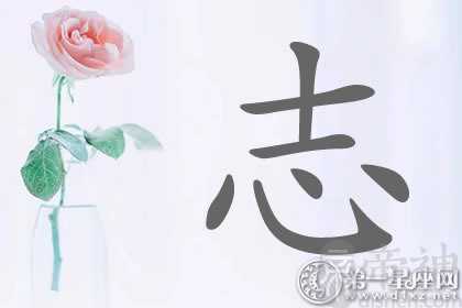 以志字而终生行 带志字明星名字分析