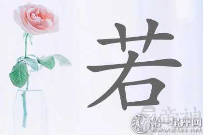 值得参考的带若字明星名字分析