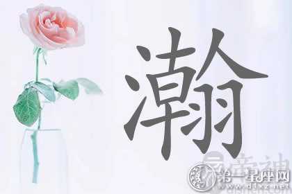 志向远大的带瀚字明星名字分析