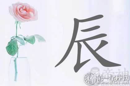 眼花缭乱！带辰字明星名字分析