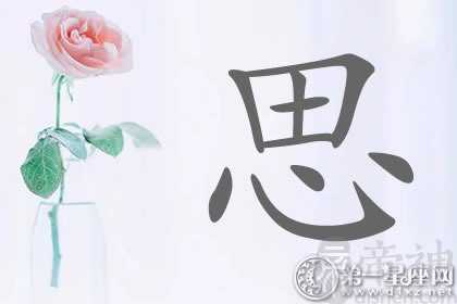 名人全都有！带思字明星名字分析