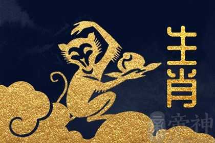 2004猴2023年高考运如何 顺不顺利