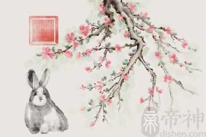 87年属兔在2023年的运程 今年会有危机吗