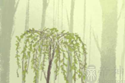 文艺青年，新浪微博名字大全女生文艺范