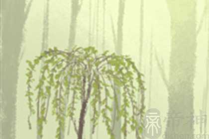 轩辕传奇血盟名字大全，帅到要炸了！